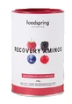 RECOVERY AMINOS FRUITS RO 400G