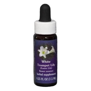 Osterlilie Kalifornische Essenz 7.4ml
