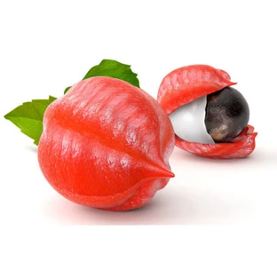 Guarana in Kräutertee aus gerösteten Samen 100 g