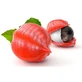 Guarana in Kräutertee aus gerösteten Samen 100 g