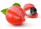 Guarana in Kräutertee aus gerösteten Samen 100 g
