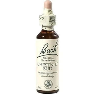 Bach Center Ess Chestnut 20ml