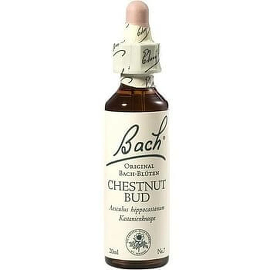 Bach Center Ess Chestnut 20ml