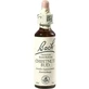 Bach Center Ess Chestnut 20ml