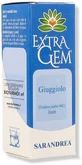 EXTRAGEM OWOC JUJUBE 20ML