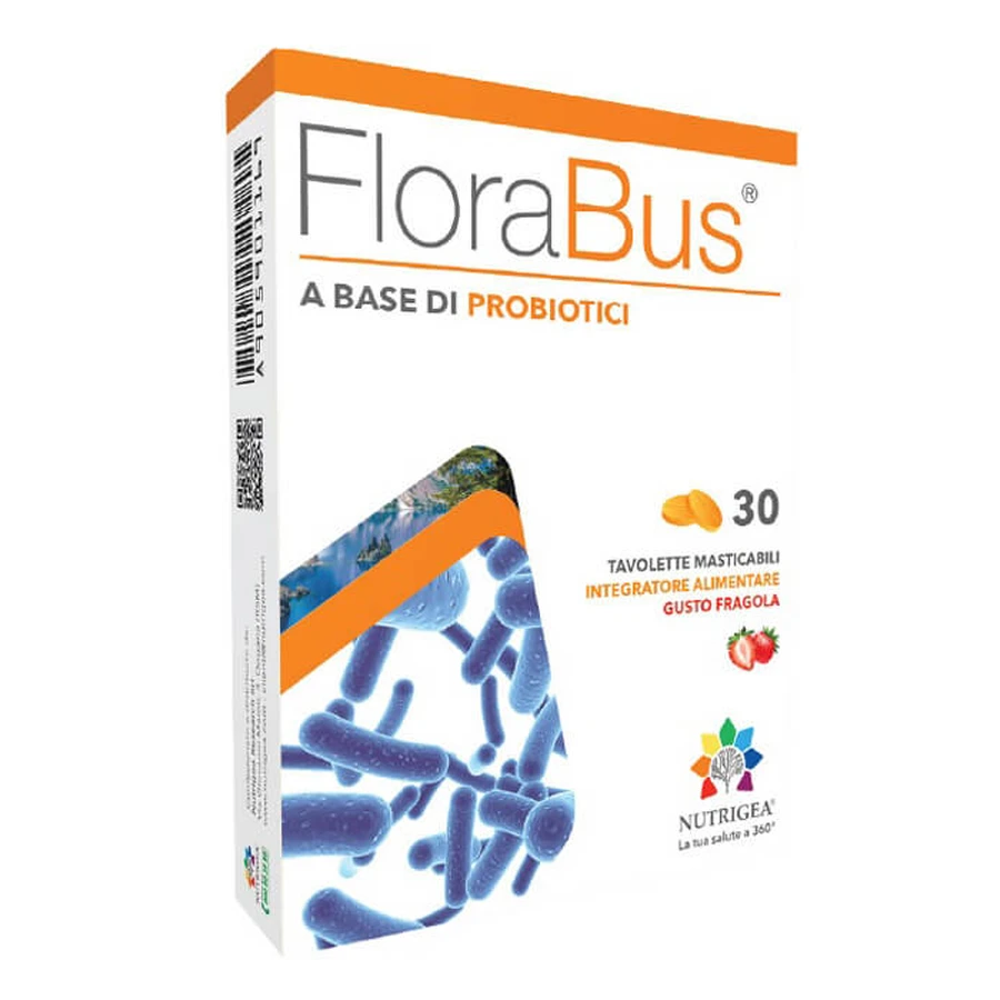 Florabus 30tav