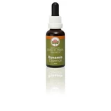 Dynamis 30 Ml 1 Stuk