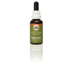Dynamis 30 Ml 1 Stück