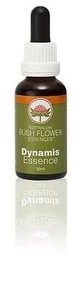 Dynamis 30 Ml 1 Stuk