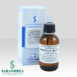 Extragem Picături de muguri de carpen alb 20 Ml