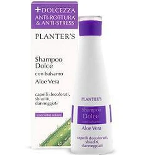 Planters Süßes Aloe Vera Shampoo