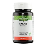 Willow 60 Capsules 450mg Erbavita