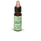Florit 11 Olmo/Olmo Ingl Gotas 10 Ml