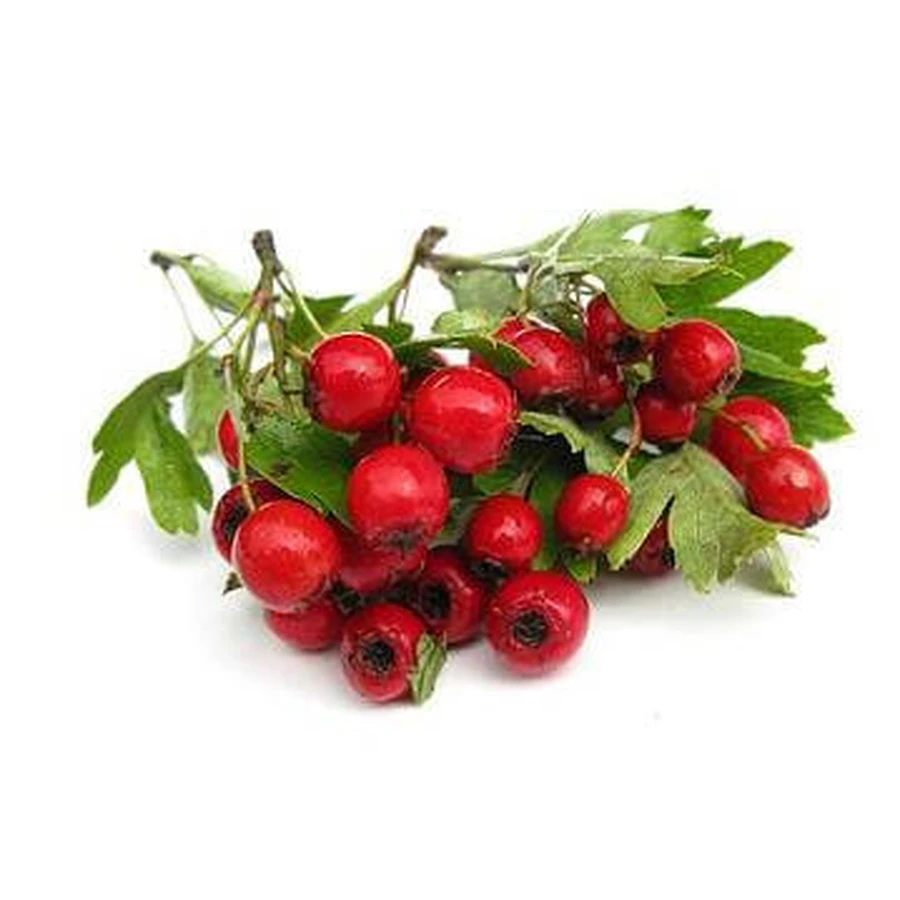  Weißdornbeeren für Abkochungen 100 g