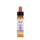 Esencia de Olmo 10 Ml 1 Pza