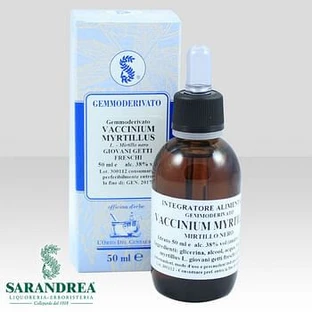 Vaccinium Myrtillus 60 ml Macerat glicerynowy
