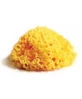 SPONGE NAT MEDITE LAB ATHENAEUMS 8
