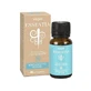 VAPO ESSENTIA BERGAMOT VETIV