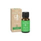 Vapo Essentia Mugo Pine And Bamboo Essential Oil 10 Ml