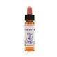 Scleranthus Essentie 10ml