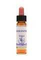 Scleranthus Essentie 10ml