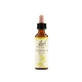 Wild Rose Bach Original 20 Ml