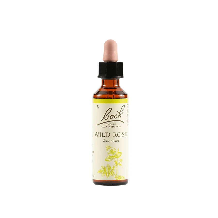 Wild Rose Bach Original 20 Ml