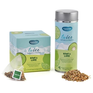 Infusion de kiwi et de citron vert en deux fois 15 filtres