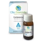 Cardamom Essential Oil 5ml