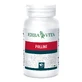 Polline 60 Capsule