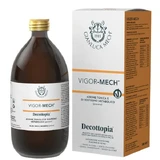 Vigor Mech 500ml decottopyric tonic