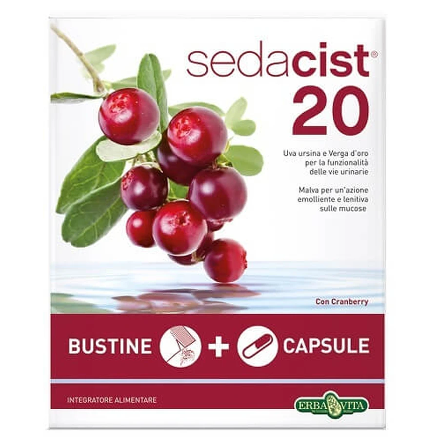 Sedacist 20 Bausatz