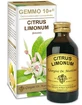 Gemmo 10+ Limone Liquido Analcolico 100ml Giorgini