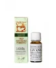 Lavender Essential Oil 10 Ml