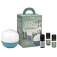 PURAE KIT HOME FOREST PIP AGAV