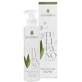 NATURE'S TULIP WHITE CR FL