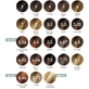 Tricolor Classic - 5.34 Golden Copper Brown