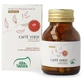 Café Verde 60 Comprimidos 500mg Terranata