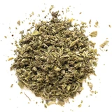 Gentle wormwood in herbal tea cut for digestion