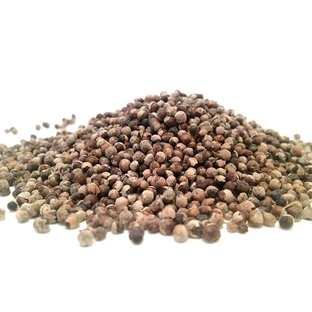 Chasteberry in 100 g gedroogd fruit