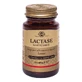 Solgar Lactase Chewable 30 Tablets
