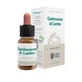 Quintessence Cumin Ecosol Drops