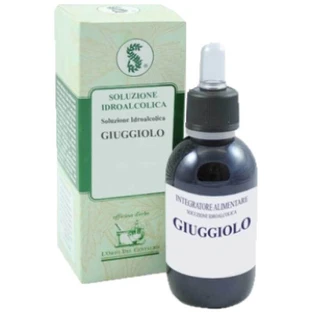 Jujube TM Sarandrea 60ml