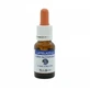 Lapislázuli Esencia Única Aguas Tibetanas 15ml