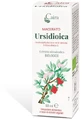 Ursidioica Mazerat Caira Gtt