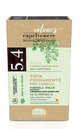 MAIDENHAIR DYE CAP 5.4N CAS