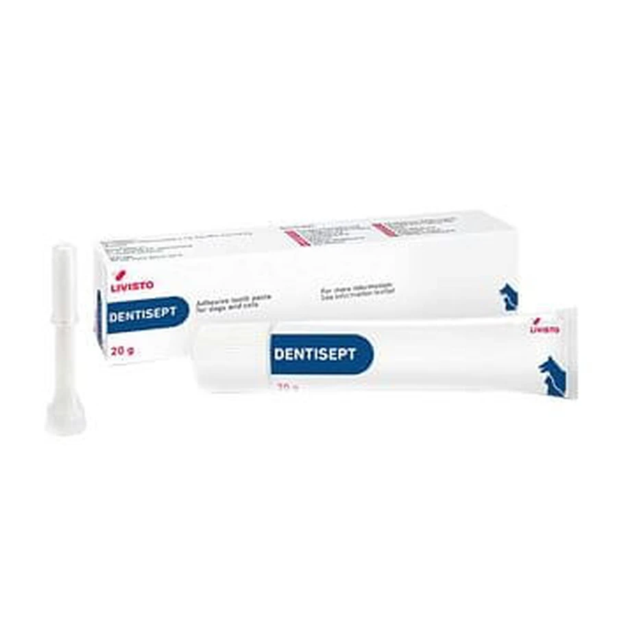DENTISEPT pasta Dent.20g