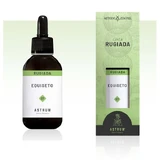 Horsetail Astrum Dew 50ml