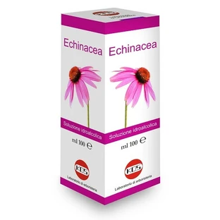 ECHINACEA SOL IAL PLANT FR100