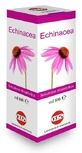ECHINACEA SOL IAL PLANT FR100